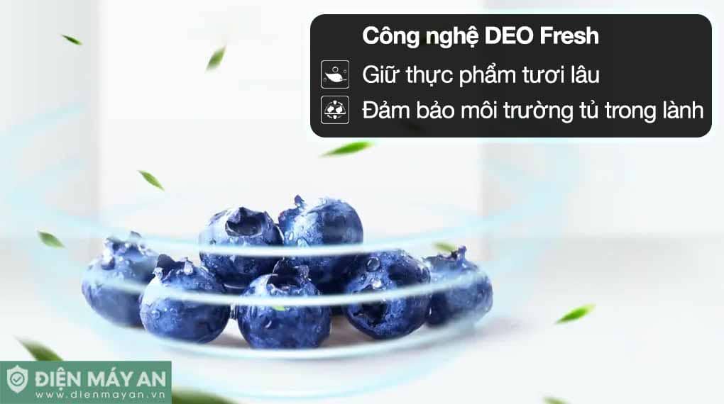 Tủ lạnh Aqua Inverter 236 lít AQR-T260FA(FB)